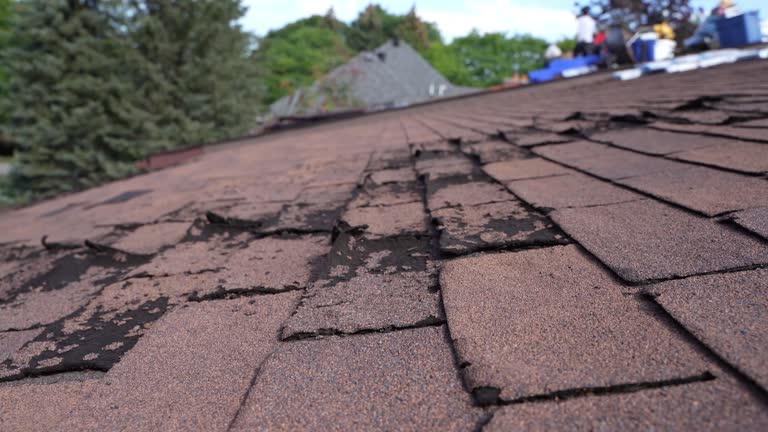 Best Rubber Roofing (EPDM, TPO)  in Grand Junction, CO